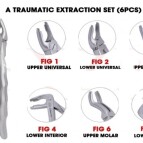 6 Pcs A-Traumatic Extraction Set Pouch Dental Forcep