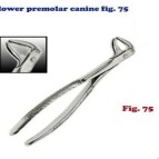 Fig 75 Lower Premolars & Canines Dental Forcep Zange